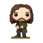 Preview: FUNKO POP! Vinyl Figur Harry Potter Sirius Black 222