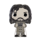 Preview: FUNKO POP PIN! Harry Potter Sirius Black #15