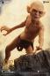 Preview: Herr der Ringe Actionfigur 1/6 Gollum 20 cm