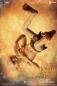 Preview: Herr der Ringe Actionfigur 1/6 Gollum 20 cm