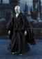 Preview: Harry Potter und der Feuerkelch S.H. Figuarts Actionfigur Lord Voldemort 15 cm
