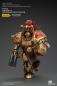 Preview: Warhammer The Horus Heresy Actionfigur 1/18 Legio Custodes Aquilon Terminator Squad Aquilon with twin-linked Adrathic Destructor 14 cm
