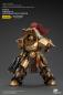 Preview: Warhammer The Horus Heresy Actionfigur 1/18 Legio Custodes Aquilon Terminator Squad Aquilon with twin-linked Adrathic Destructor 14 cm