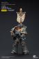 Preview: Warhammer The Horus Heresy Actionfigur 1/18 Space Wolves Grey Slayer Pack Grey Slayer With Legion Vexilla 12 cm