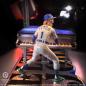 Preview: Elton John Rock Iconz Statue 19 cm