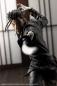 Preview: Rurouni Kenshin ARTFXJ Statue 1/8 Saito Hajime 23 cm