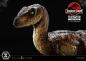 Preview: Jurassic Park Prime Collectibles Statue 1/10 Velociraptor Closed Mouth 19 cm