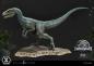 Preview: Jurassic World: Fallen Kingdom Prime Collectibles Statue 1/10 Blue (Open Mouth Version) 17 cm