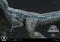 Preview: Jurassic World: Fallen Kingdom Prime Collectibles Statue 1/10 Blue (Open Mouth Version) 17 cm