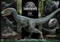 Preview: Jurassic World: Fallen Kingdom Prime Collectibles Statue 1/10 Blue (Open Mouth Version) 17 cm