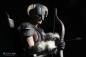 Preview: The Elder Scrolls V Skyrim Actionfigur 1/6 Dragonborn Deluxe Edition 32 cm
