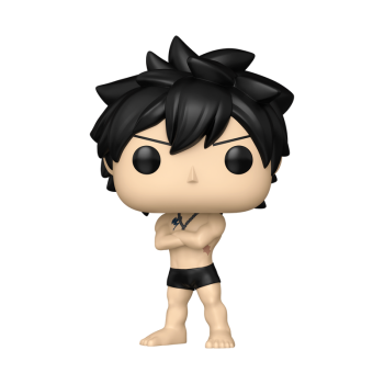 FUNKO POP! Vinyl Figur Animation Fairy Tail 100 Year Quest Gray 2287 Chance of Chase