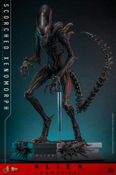 Alien: Romulus Movie Masterpiece Actionfigur 1/6 Scorched Xenomorph 44 cm