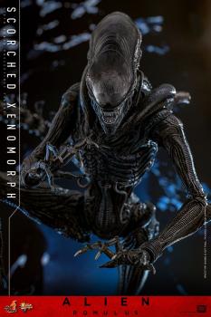 Alien: Romulus Movie Masterpiece Actionfigur 1/6 Scorched Xenomorph 44 cm