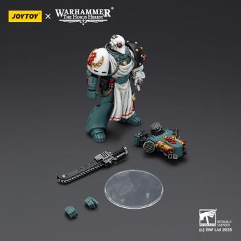 Warhammer 40,000: Sons of Horus Actionfigur Legion Apothecary 12 cm