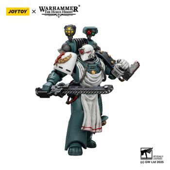 Warhammer 40,000: Sons of Horus Actionfigur Legion Apothecary 12 cm