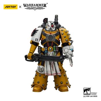 Warhammer 40,000: imperial Fists Actionfigur Legion Apothecary 12 cm