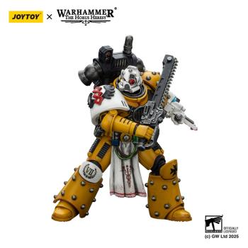 Warhammer 40,000: imperial Fists Actionfigur Legion Apothecary 12 cm