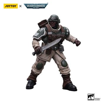 Warhammer 40k Actionfigur 1/18 Astra Militarum Cadian Command Squad Veteran with Regimental Standard 12 cm