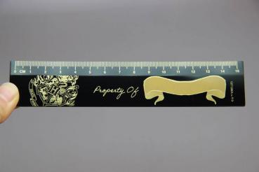 Harry Potter Schreibset Hogwarts Keepsake