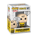 FUNKO POP! - Television  - Peanuts Charlie Brown GG   #1677